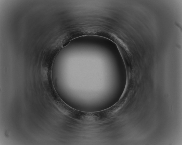 X0000093440209200710121340