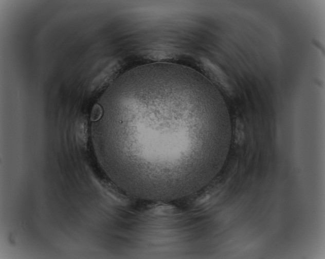 X0000093440210200710121340