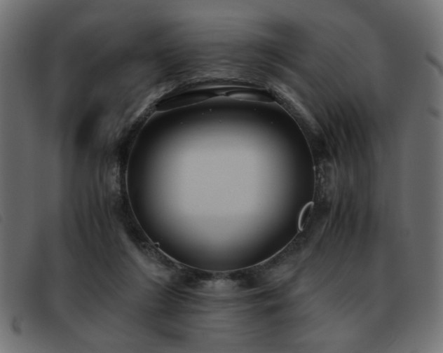 X0000093440212200710121340