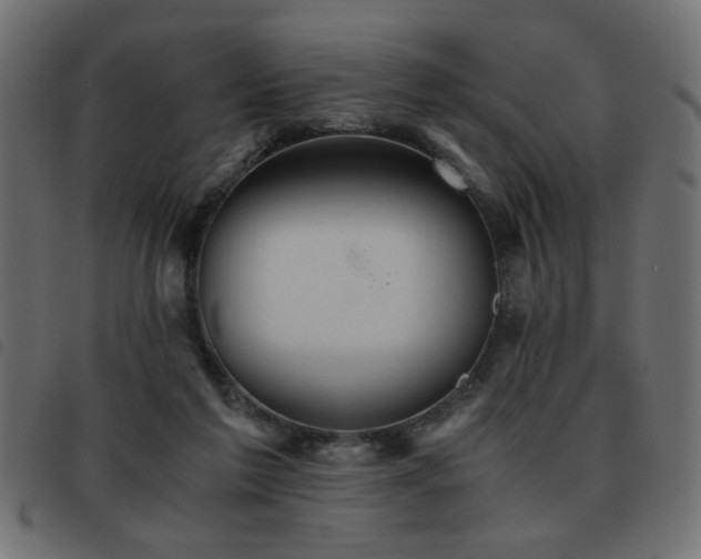 X0000093440213200710121340