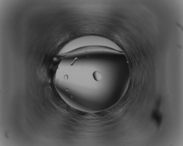 X0000093440215200710121340