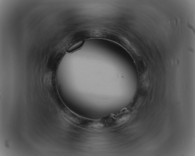 X0000093440217200710121340