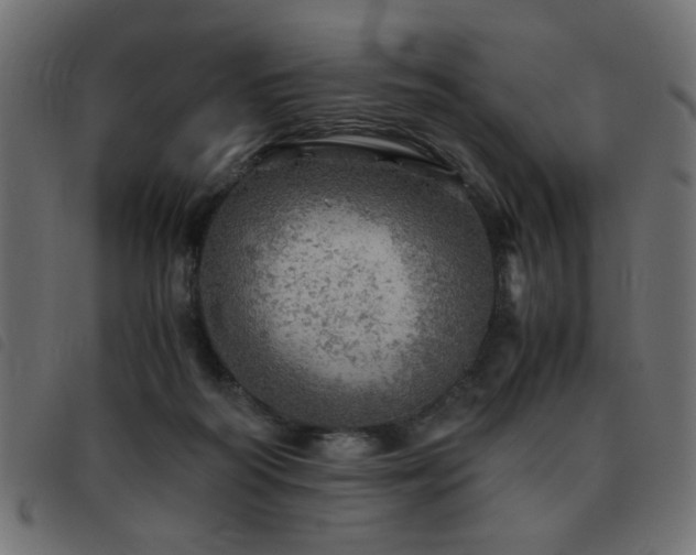 X0000093440218200710121340