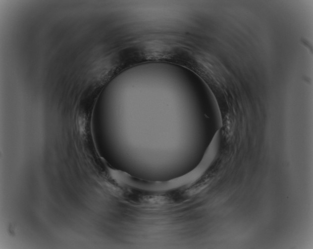 X0000093440219200710121340