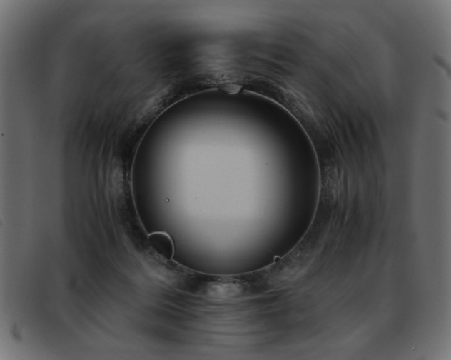 X0000093440220200710121340