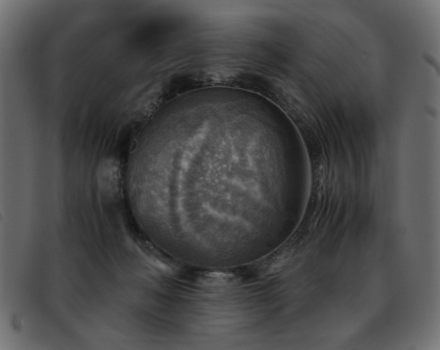 X0000093440222200710121340