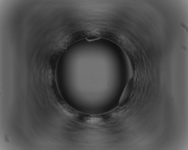 X0000093440223200710121340
