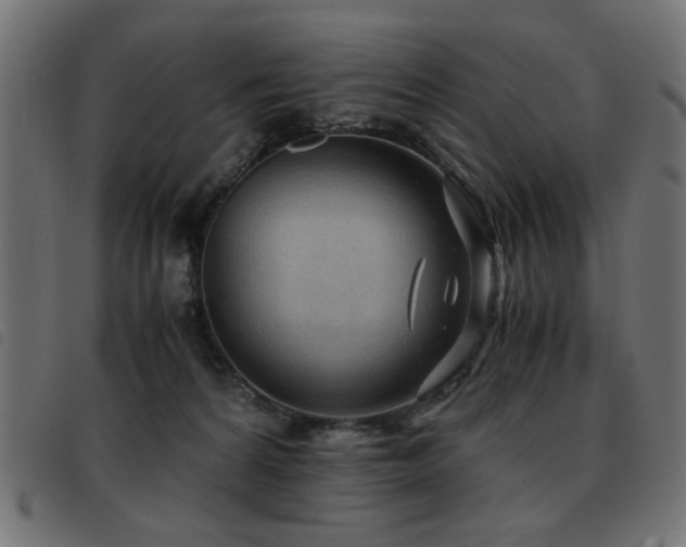 X0000093440224200710121340