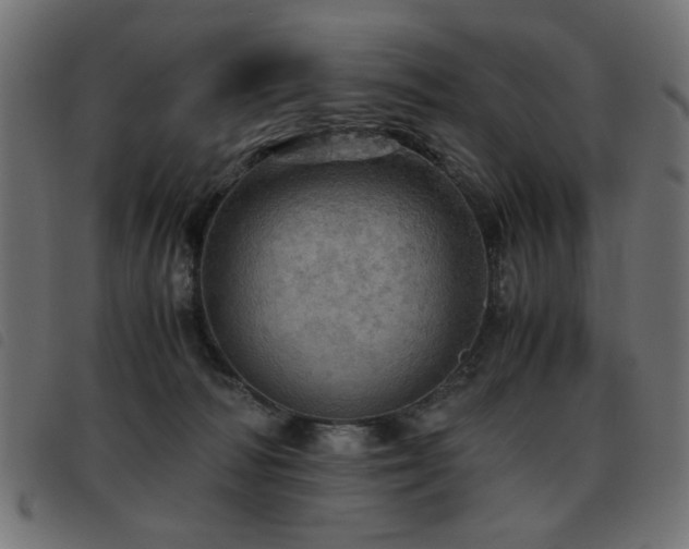 X0000093440226200710121340