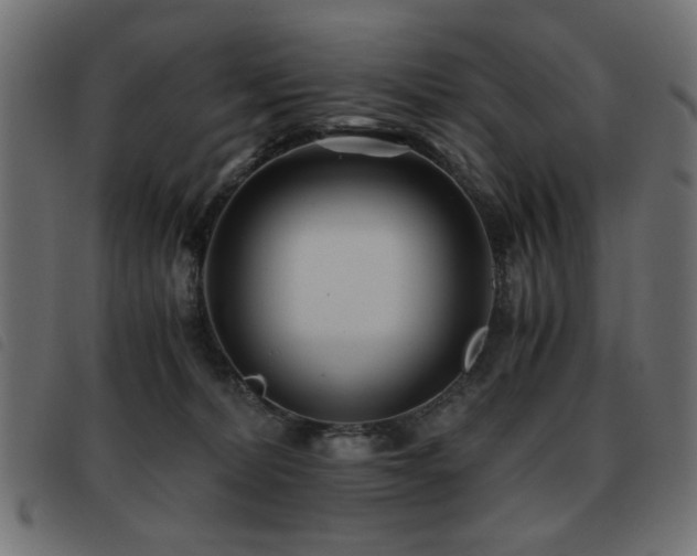 X0000093440228200710121340