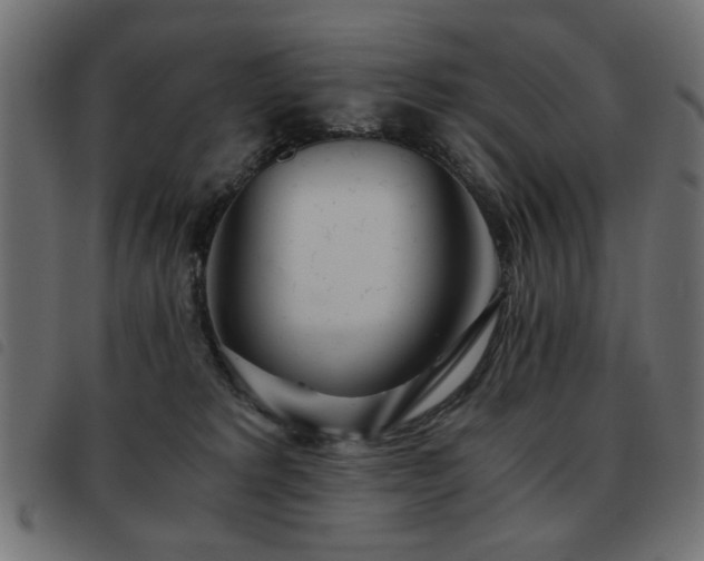 X0000093440229200710121340