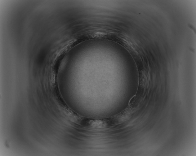 X0000093440230200710121340