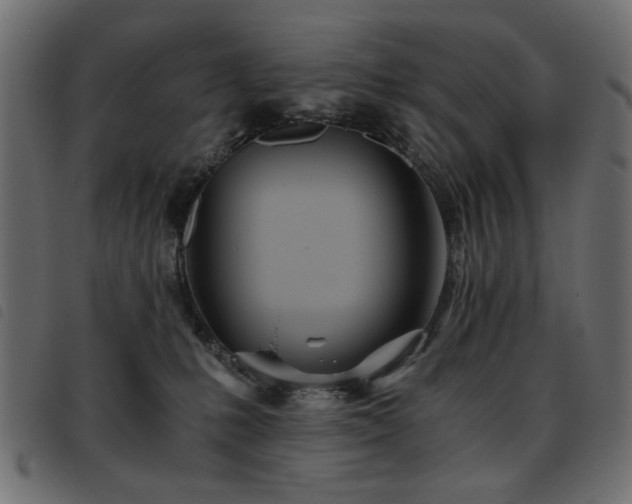 X0000093440231200710121340