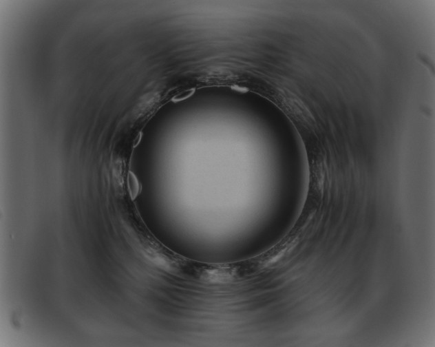 X0000093440232200710121339