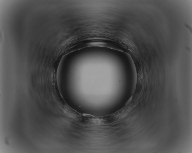 X0000093440233200710121339