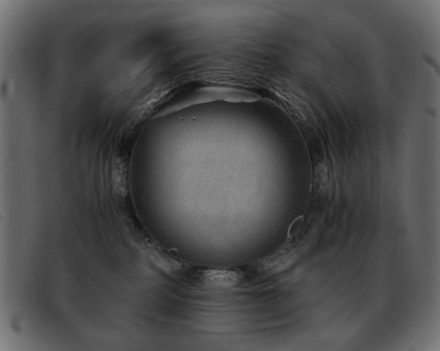 X0000093440234200710121339