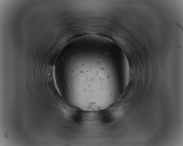 X0000093440237200710121339