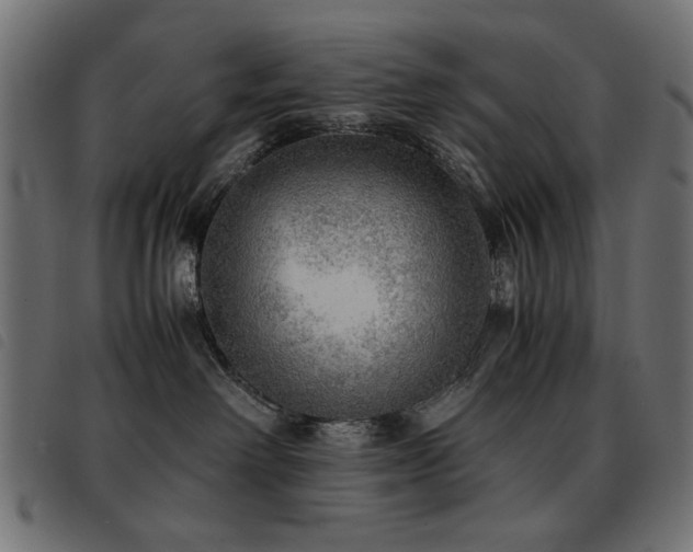 X0000093440238200710121339