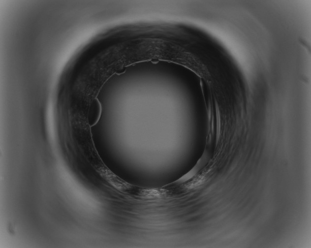 X0000093440239200710121339