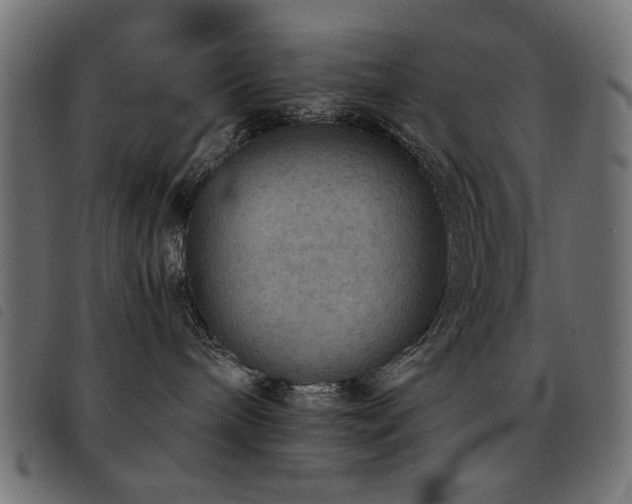 X0000093440240200710121339