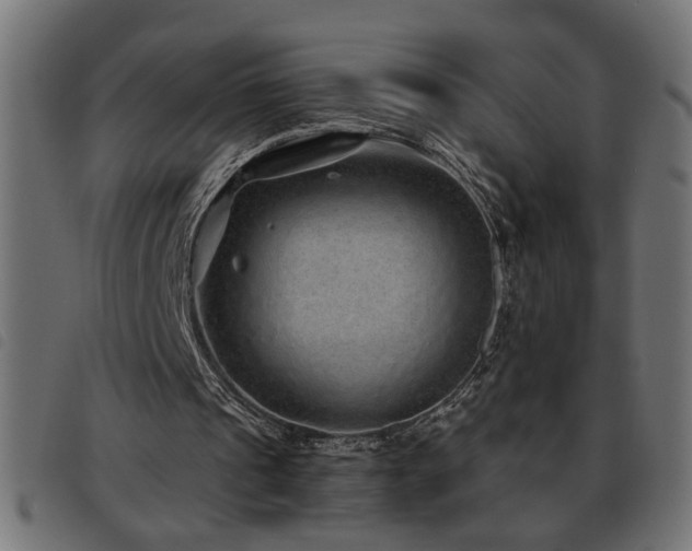 X0000093440241200710121339