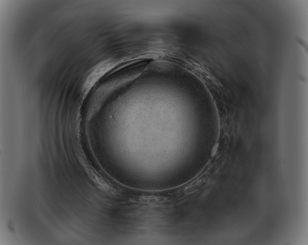X0000093440242200710121339