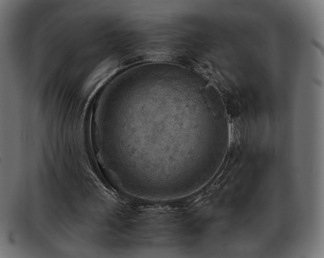 X0000093440243200710121339
