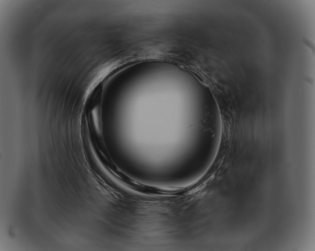 X0000093440244200710121339