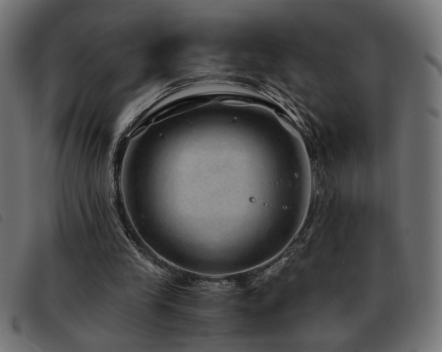 X0000093440245200710121339