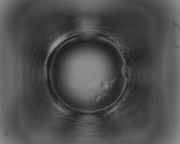 X0000093440246200710121339