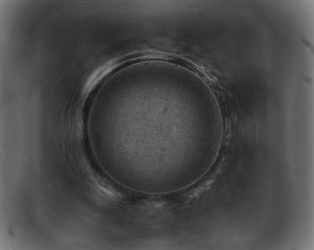 X0000093440247200710121339