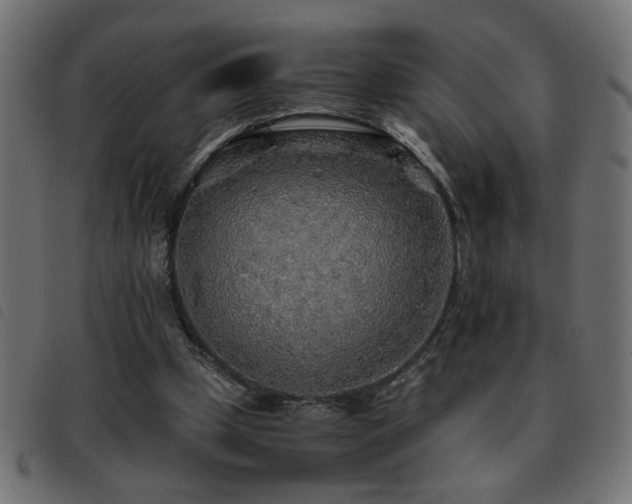 X0000093440249200710121339