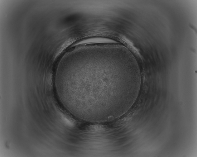 X0000093440250200710121339
