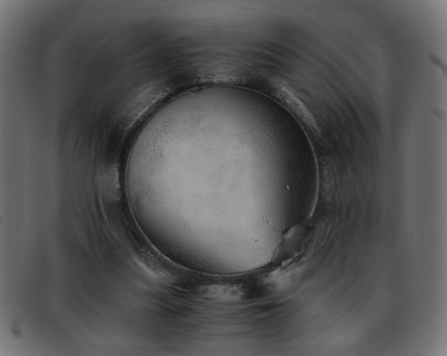 X0000093440251200710121339