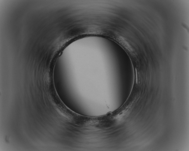 X0000093440252200710121339