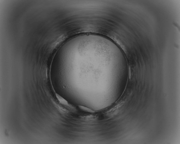 X0000093440253200710121339
