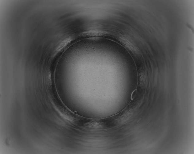 X0000093440254200710121339