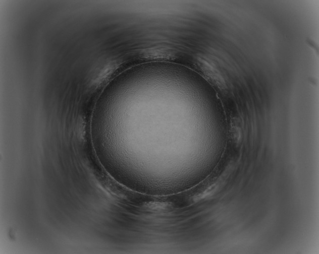 X0000093440255200710121339