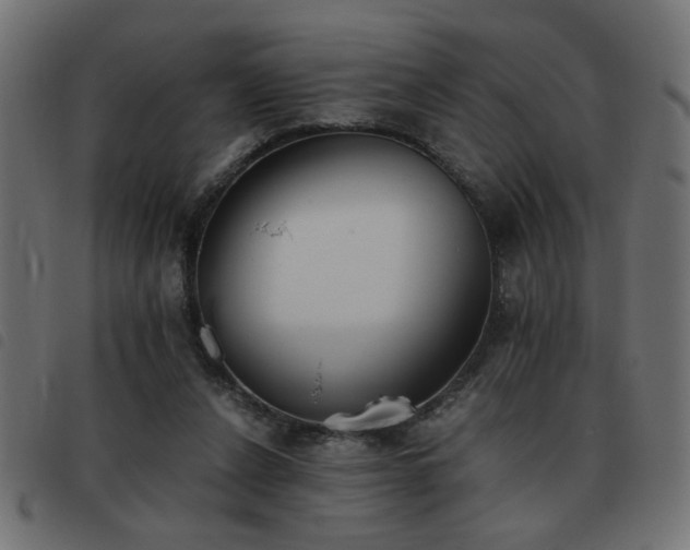 X0000093440256200710121339
