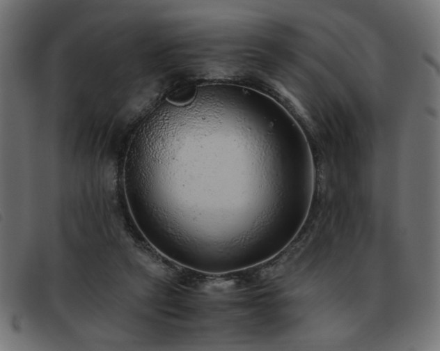 X0000093440257200710121339