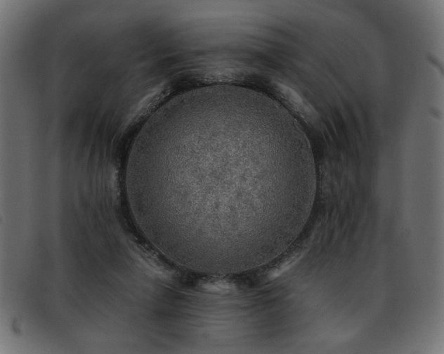 X0000093440258200710121339