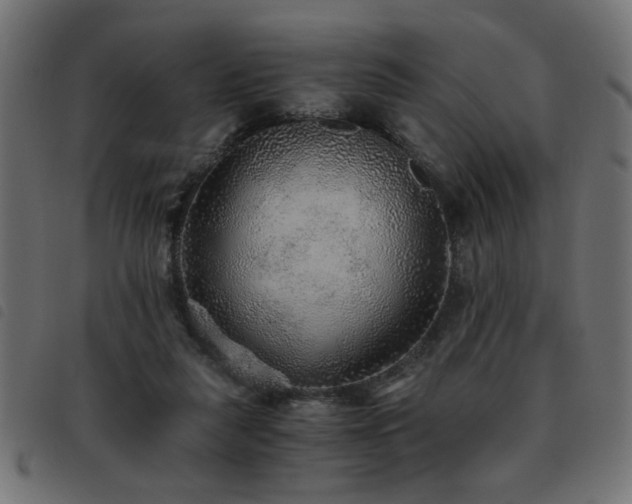 X0000093440259200710121339
