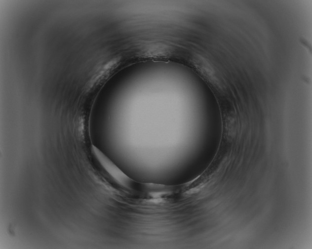 X0000093440260200710121339