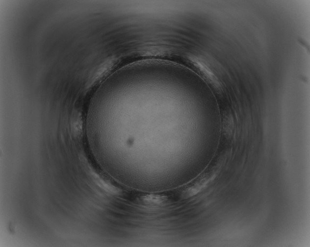 X0000093440261200710121339