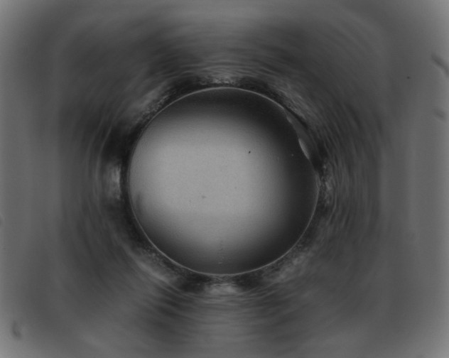X0000093440262200710121339