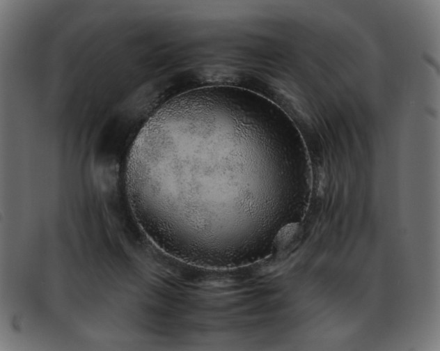 X0000093440263200710121339