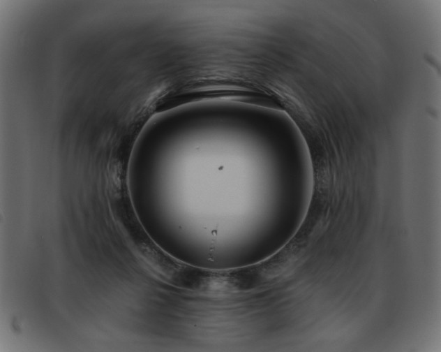 X0000093440264200710121339