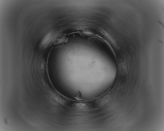 X0000093440265200710121339