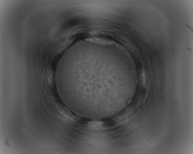 X0000093440266200710121339