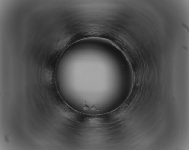 X0000093440268200710121339